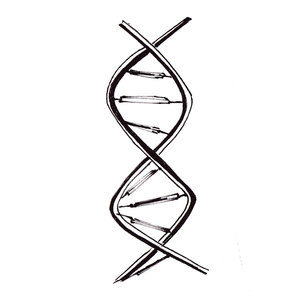   , .., DNA [